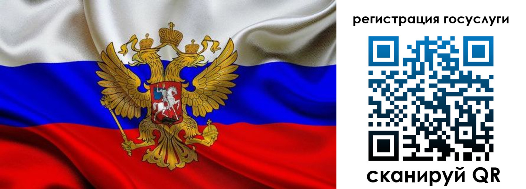 прописка гарантия в Ермолино